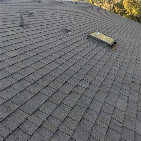 New Life Roof Cleaning image 5