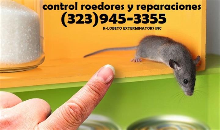 RODENTS PEST CONTROL SERVICES. image 6