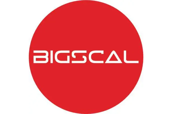 Bigscal Technologies image 1