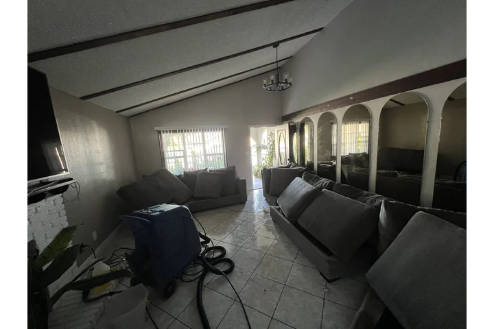 Sofa Cleaning Services🛋️ image 6