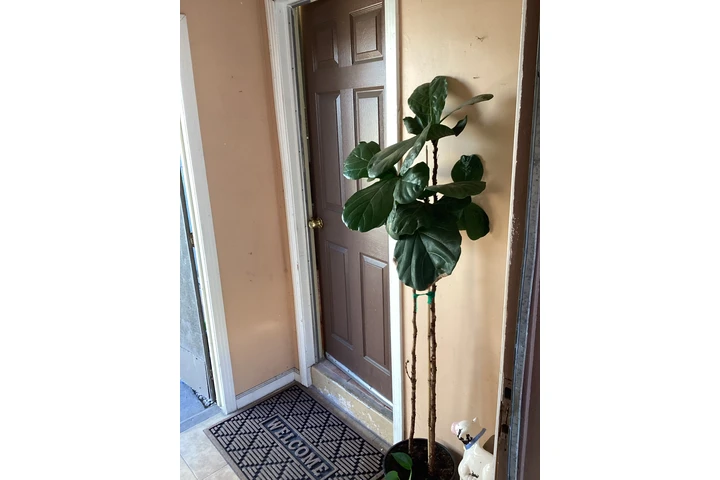 $1650 : ESTUDIO+Amueblado+Wifi+Patio=$ image 2