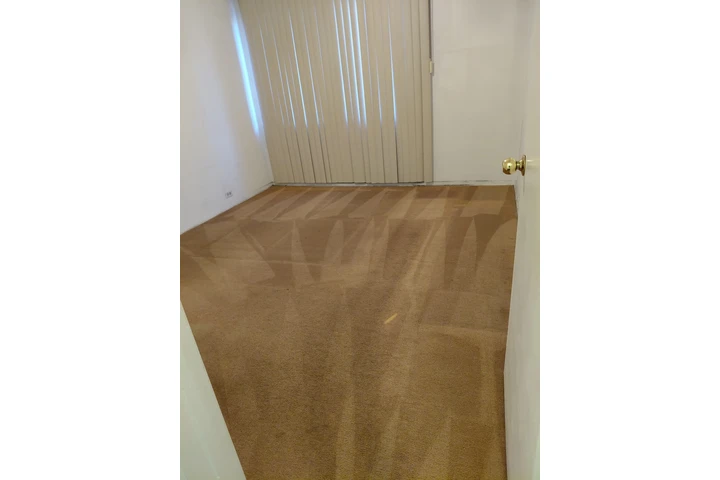 Limpieza de Alfombra y Hogar image 4