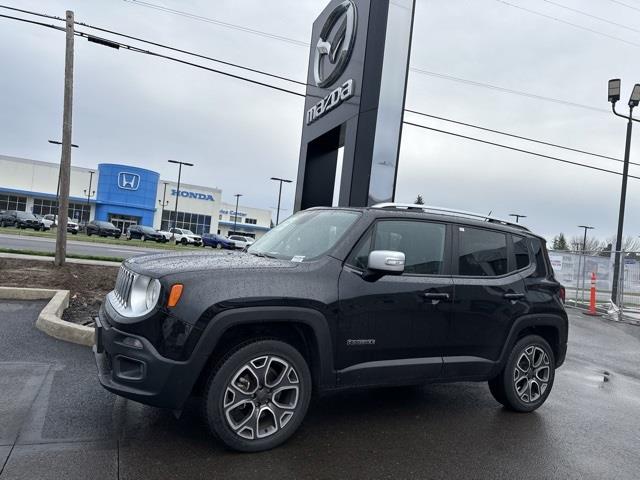 2015  Renegade Limited image 1