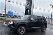 2015  Renegade Limited