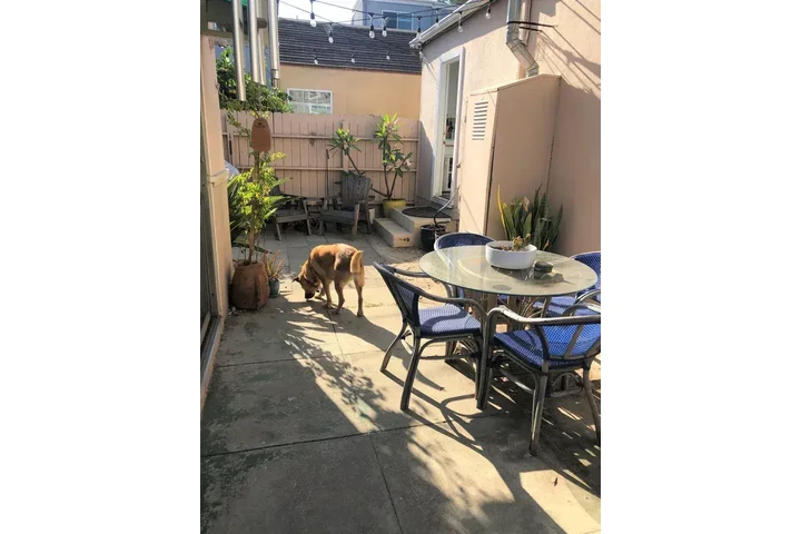 $1200 : Cozy 1-Bedroom and 1-Barhroom image 7