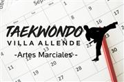 Taekwondo - Villa Allende en Cordoba