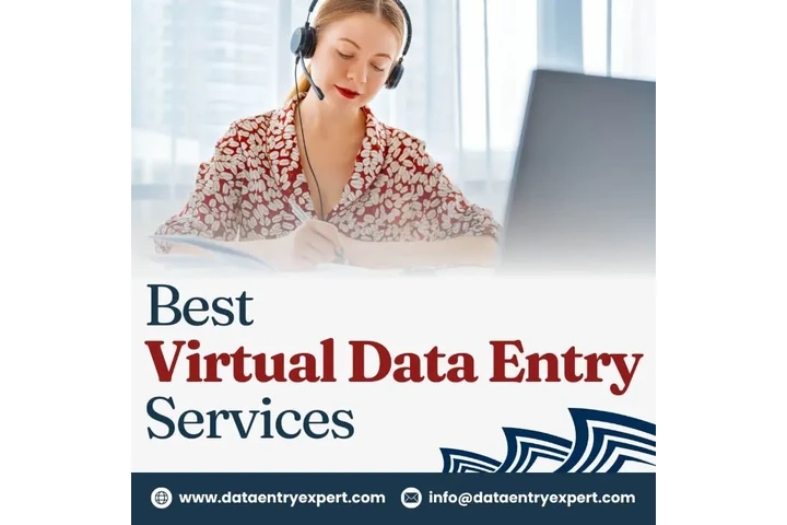 Virtual Assistant Data Entry image 1