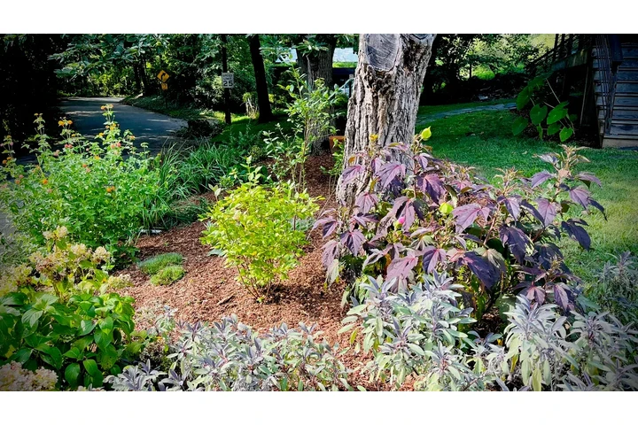 Professional Landscaping image 7