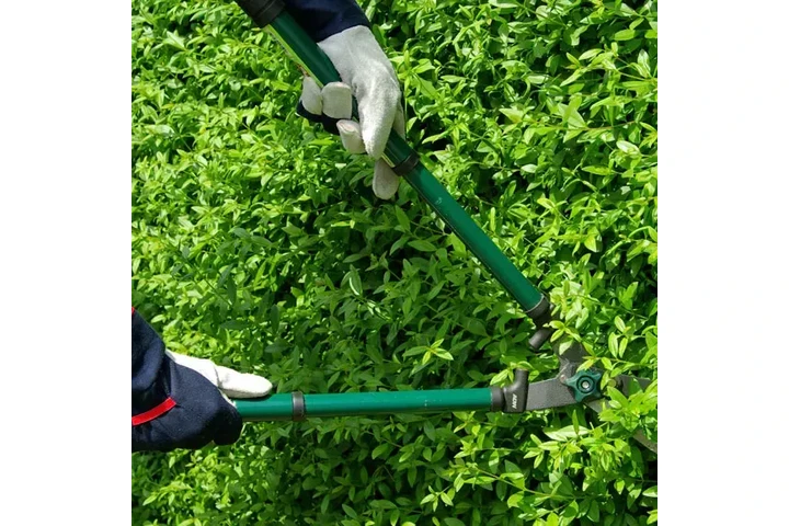 Adelfo Tree Service image 3