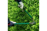 Adelfo Tree Service thumbnail 3