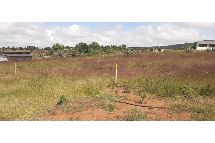 $643500 : TERRENO P/ CABAÑA CERC AMEALCO image 5