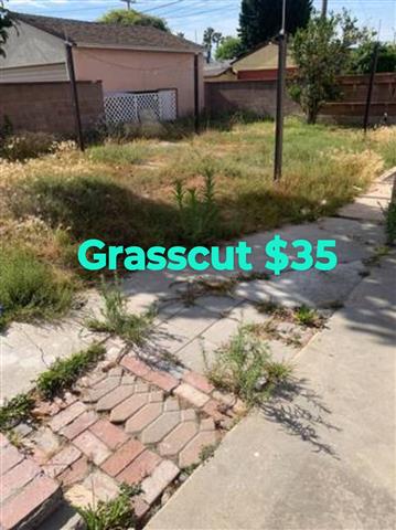 Grasscut 🏡 $35 image 1