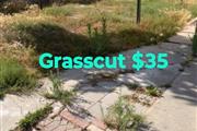 Grasscut 🏡 $35 en Los Angeles