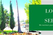 Lorenzo´S Tree Service en San Bernardino