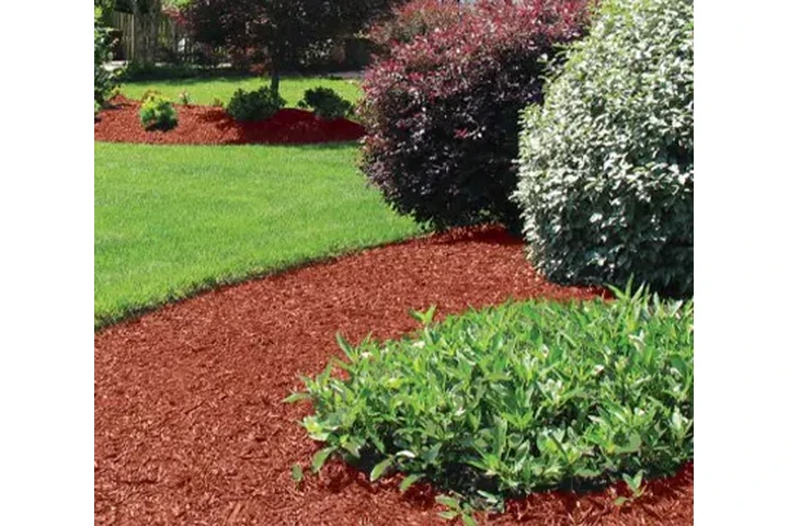 Bacilio Landscaping Services image 3