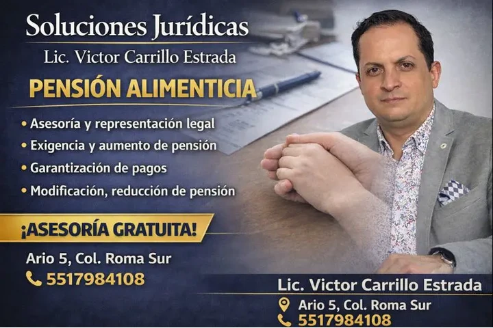 pension alimenticia image 1