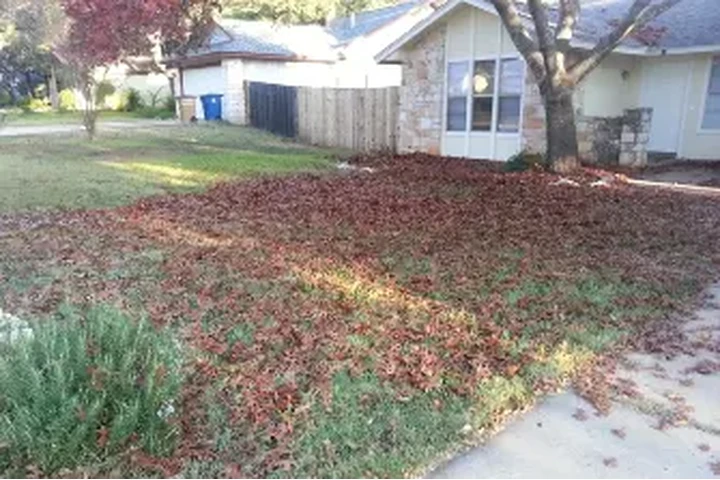 CLEAN LEAVES IN YOUR HOME image 2