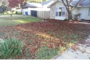 CLEAN LEAVES IN YOUR HOME thumbnail