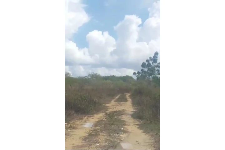 $150000 : Vendo solar 500 m2 La Romana image 4