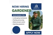 Vacancy! Vacancy!! en Los Angeles