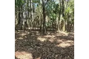 $312500 : TERRENO EN VENTA EN SAN JUAN thumbnail