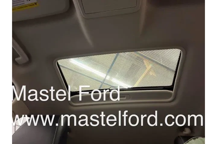 $13900 : Ford EcoSport 2019 AWD Titan image 10