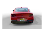 $26141 : Ford Mustang 2024 EcoBoost P thumbnail