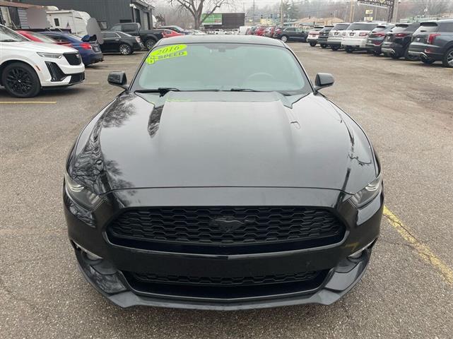 $15500 : 2016 Mustang EcoBoost image 2