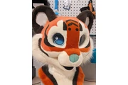 $500 : Fursuits For Sale thumbnail