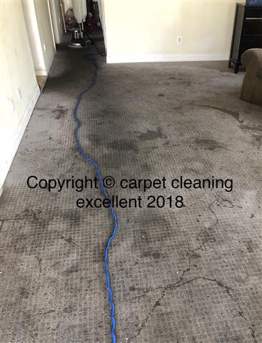 Carpet cleaning profesionales image 1