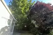 Tree trimming and removal en San Francisco Bay Area