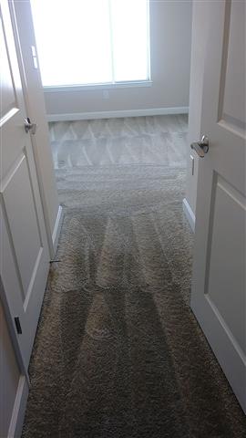 DCC SERVICES (CARPET ClEANING) image 3
