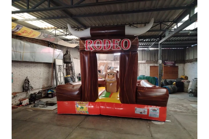 FABRICA DE INFLABLES EN QRO image 6