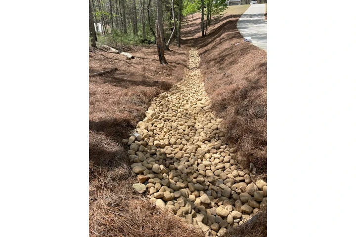 🌲LANDSCAPING SERVICES🌲 image 6