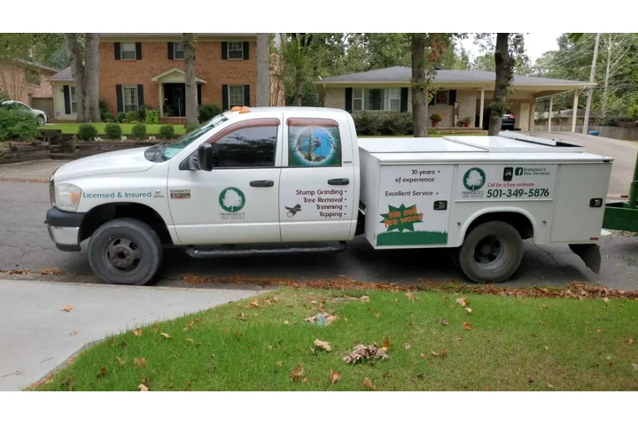 Francisco Tree Services image 2