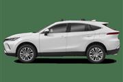 2024  Venza Limited