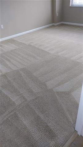 DCC SERVICES (CARPET ClEANING) image 8