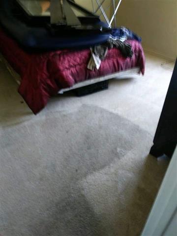 Carpet cleaning 818-721-7593 ☎ image 3