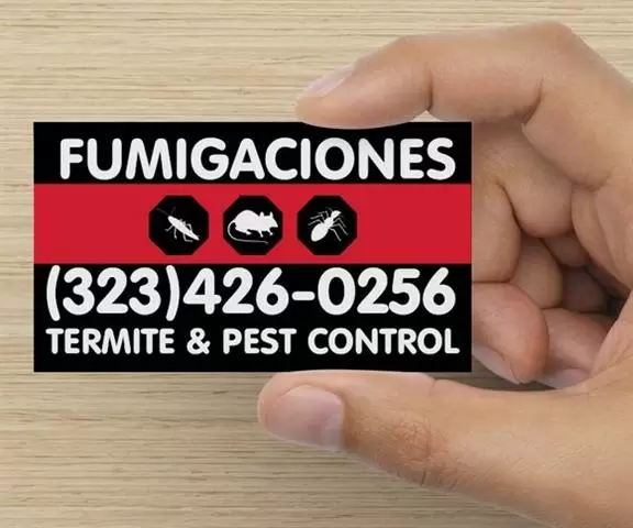 FUMIGACIÓNES TERMITAS .😷🦠 image 1