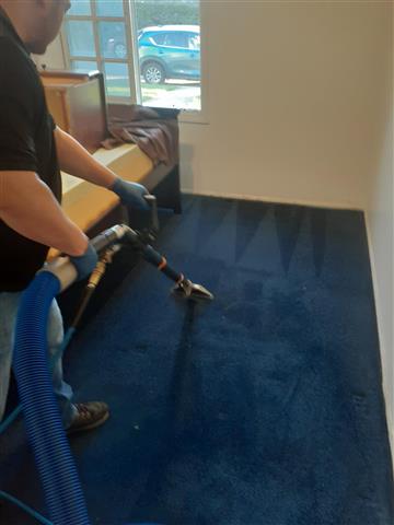 Roberto's carpet cleaning image 1