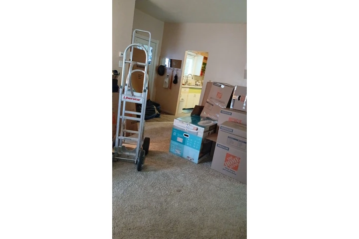 Local movers image 4