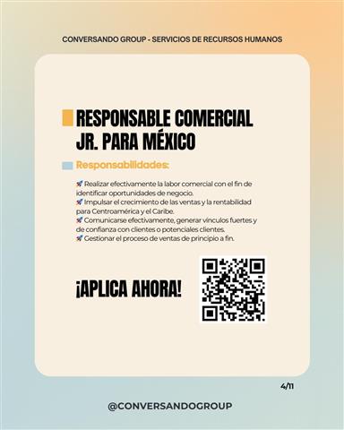 Responsable de Ventas Jr. image 2