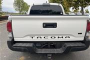 $36600 : PRE-OWNED 2020 TOYOTA TACOMA thumbnail