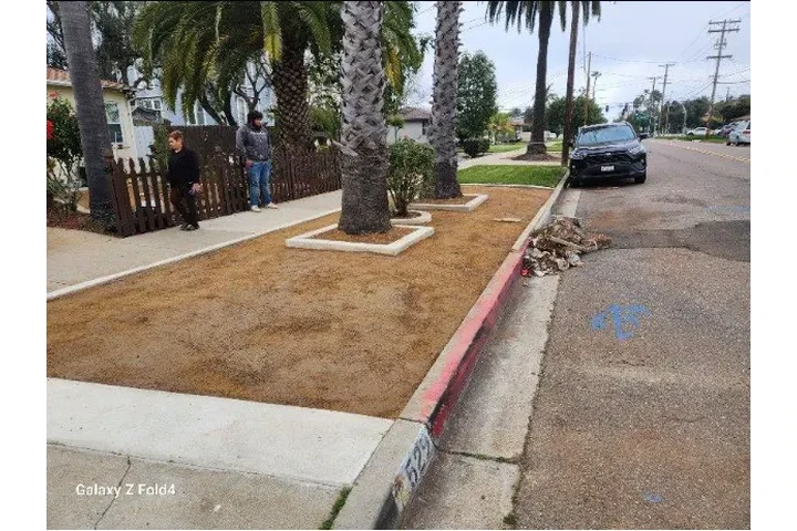 🏡 Transforma tu Exterior image 7