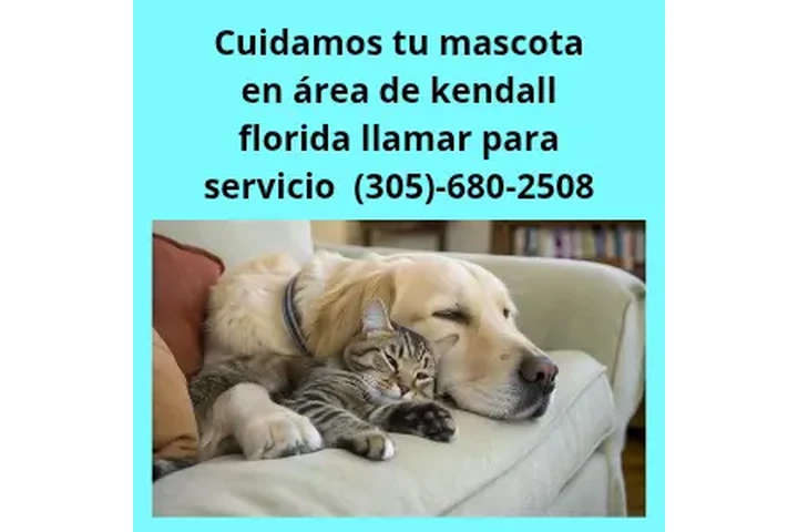 Pet Care Kendall Florida image 2