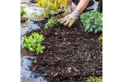 Landscaping Services thumbnail