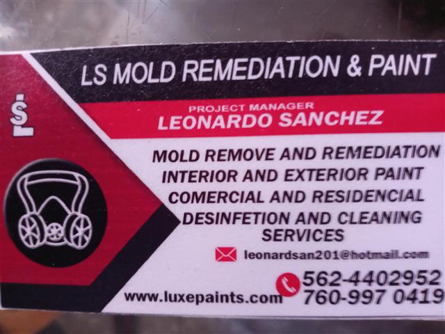 MOLD REMEDATION & PAINT image 6
