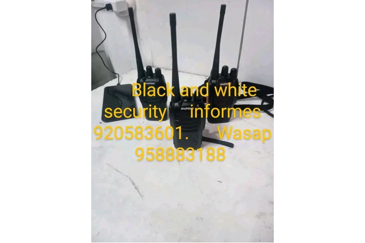 Black and white security image 4
