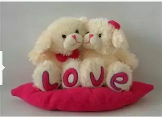 PELUCHES DE SAN VALENTIN image 1