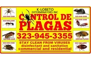 LOS MEJORES FUMIGADORES ORANGE thumbnail
